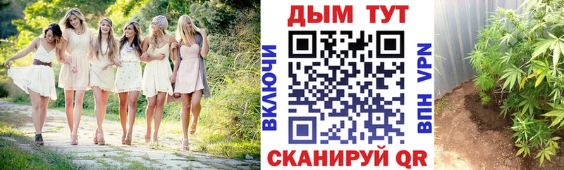 Сколько стоит Камешково Конопля  МЕТАМФЕТАМИН  Гашиш  МЕФ  СК 
