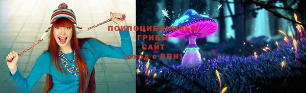трава Заволжск