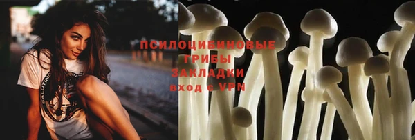 apvp Заволжье