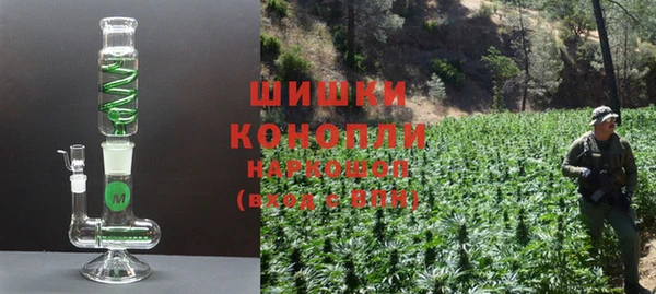 дурь Заводоуковск