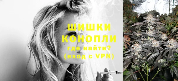 дурь Заводоуковск