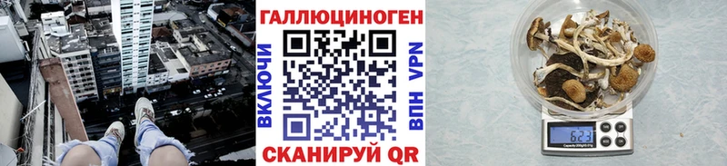 Галлюциногенные грибы ЛСД  kraken ONION  Камешково 